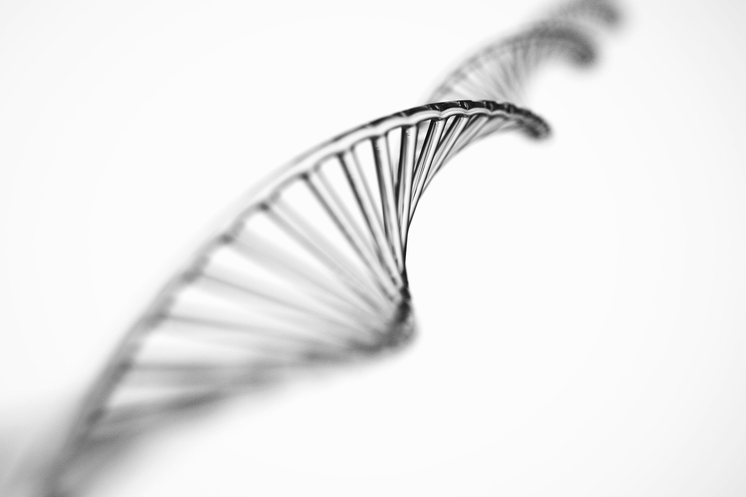 Stem cell injection in Fort Lauderdale