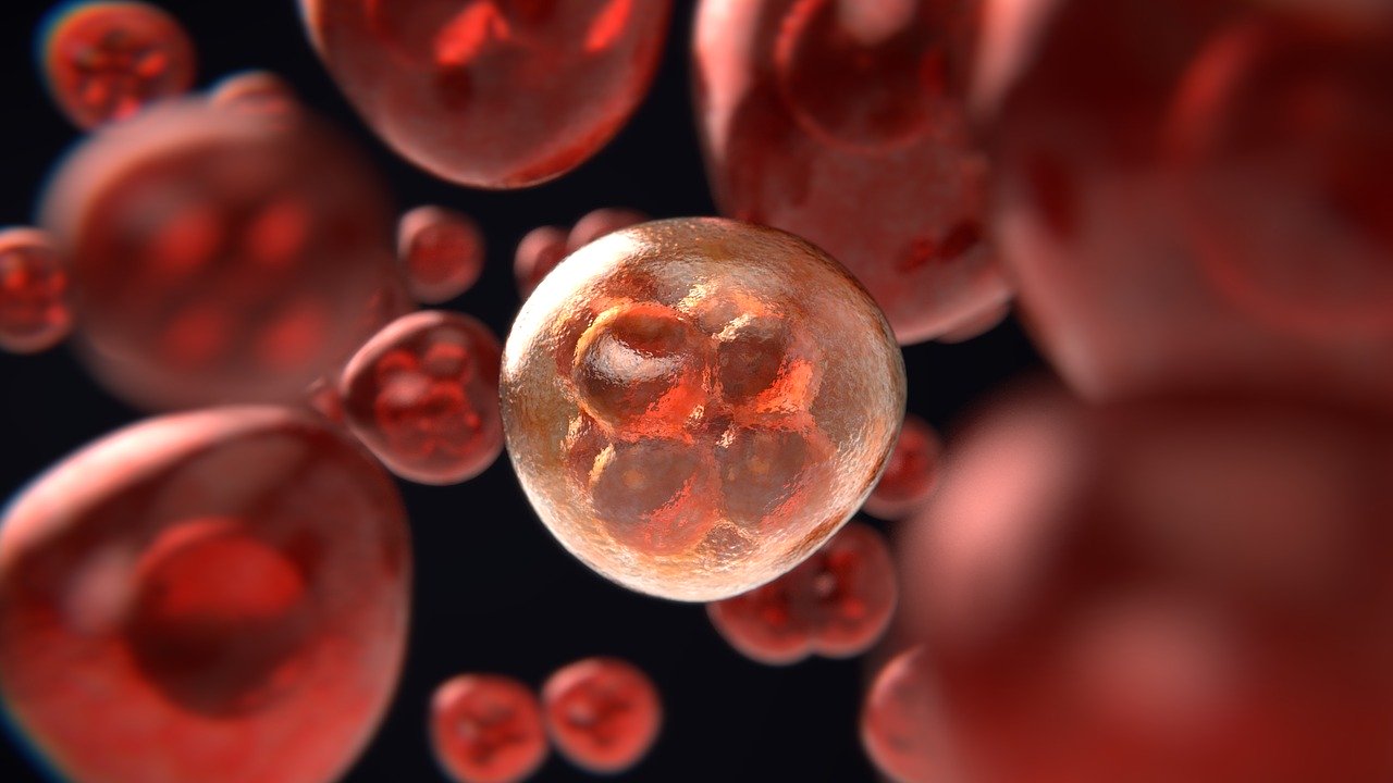 stem cell/PRP therapy fort lauderdale
